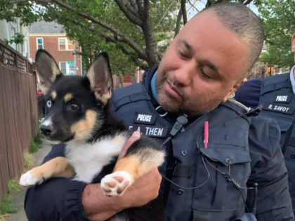 Washington, DC Police Find Stolen Dog