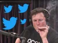 Elon Musk’s Major Rebranding: Twitter Name Will Change to ‘X,’ Bird Symbols to Disappear