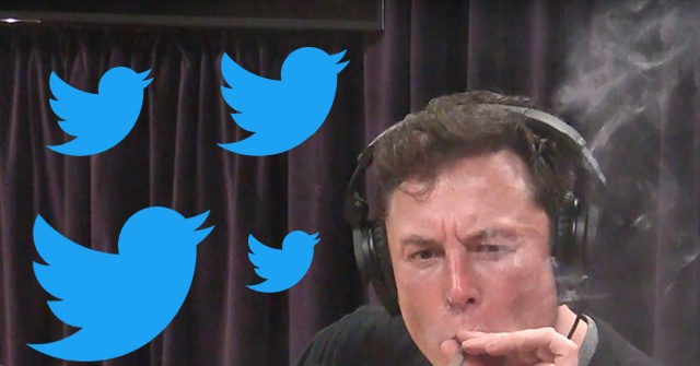 Elon Musk's Major Rebranding: Twitter Name Will Change to 'X,' Bird Symbols to Disappear