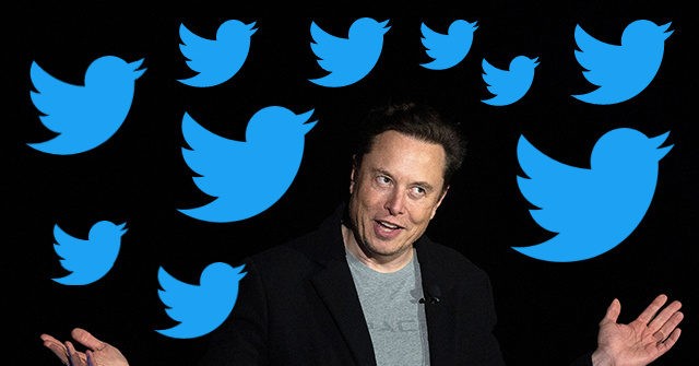 Elon Musk: Twitter Has 'Interfered in Elections'