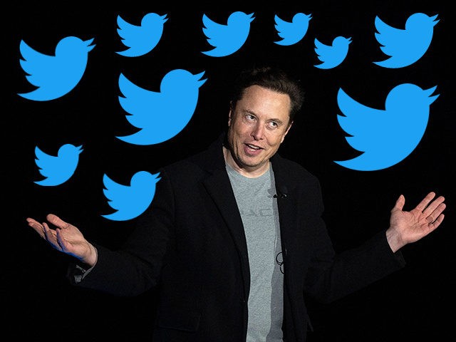 elon musk twitter bid