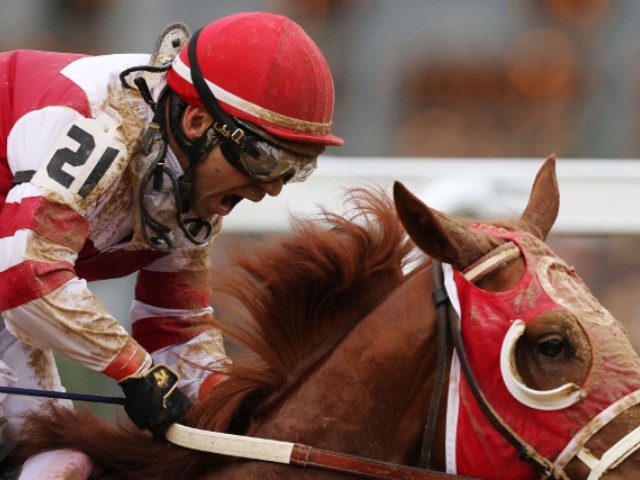 Rich Strike Wins Kentucky Derby, Then Tries to Bite Another Horse