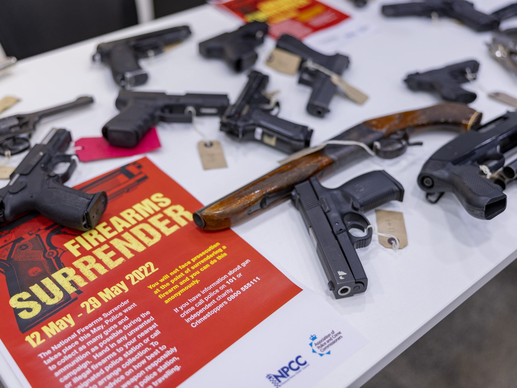 Gun-Free UK: Burglary Gang Held Gun to Dad's Head, Blinded Family Dog - Vimarsana News