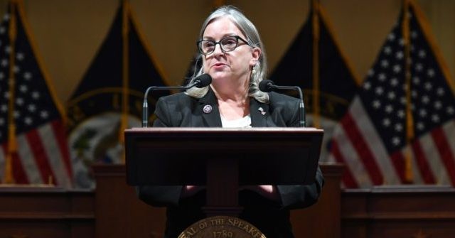 Watch: Democrat Susan Wild Goes on Abortion Tirade After SCOTUS Leak