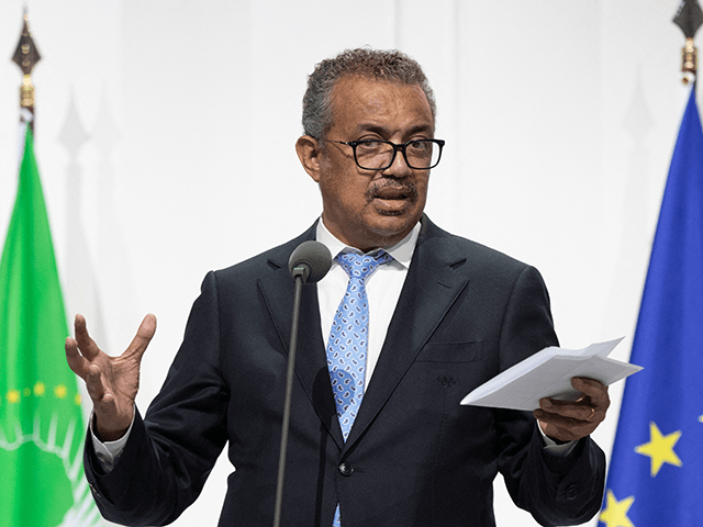 Director General of the World Health Organization Tedros Adhanom Ghebreyesus delivers a statement at the manufacturing site of German company BioNTech in Marburg, western Germany, on February 16, 2022, amid the novel coronavirus / COVID-19 pandemic. - African leaders, co-founders of BioNTech and representatives of international health organisations met to …