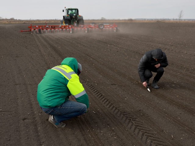 HUMNYSKA, UKRAINE - MARCH 26: Holovanych Andrii, (L) and Kaluzhniak Andrii, both of whom are agronomist with the Zahidnyi Bug Farm, help plant sugar beet seeds on March 26, 2022 in Humnyska, Ukraine. With more than 150,000 square miles of agricultural land, Ukraine has been called the "breadbasket" of Europe, …