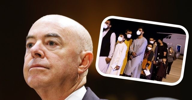DHS Gives 'Temporary' Amnesty to 18K Afghans Despite Vetting Failures