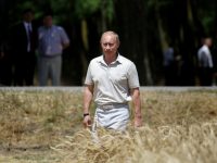 Putin: Ukrainian Sea Mines, Western Sanctions to Blame for Lack of Food Shipments, Not Russia