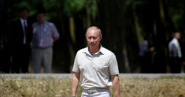 Putin: Sanctions, Ukraine Sea Mines to Blame for Lack of Food Shipments