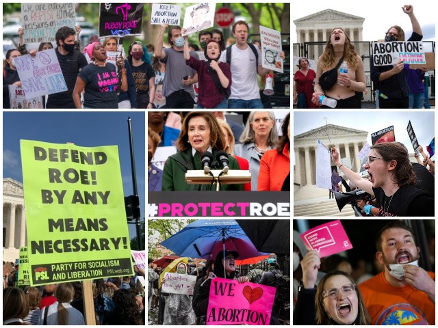 Pinkerton: The Democrats 'Wildly Overshoot' on Abortion - Vimarsana News