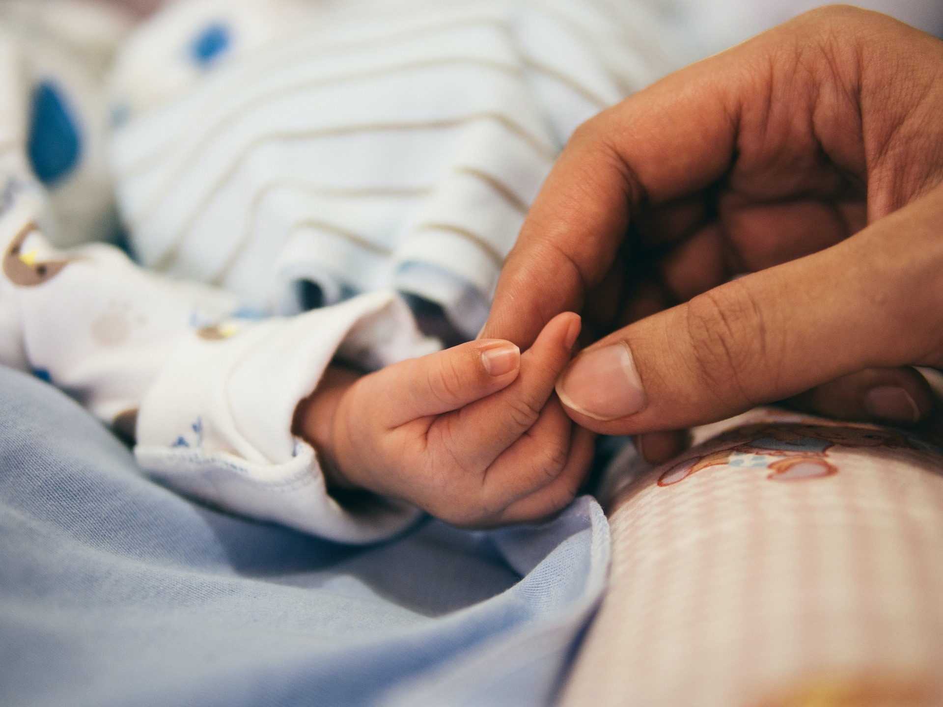 Nolte: Biden Baby Formula Crisis Hospitalizes Milwaukee Infants with Malnutrition - Vimarsana News