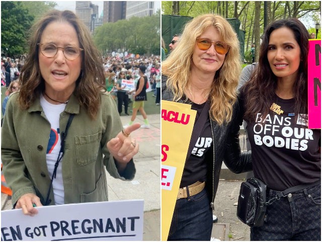 Hollywood Celebrities Hit the Streets for Nationwide Planned Parenthood Abortion Protests: ‘No Uterus No Opinion’