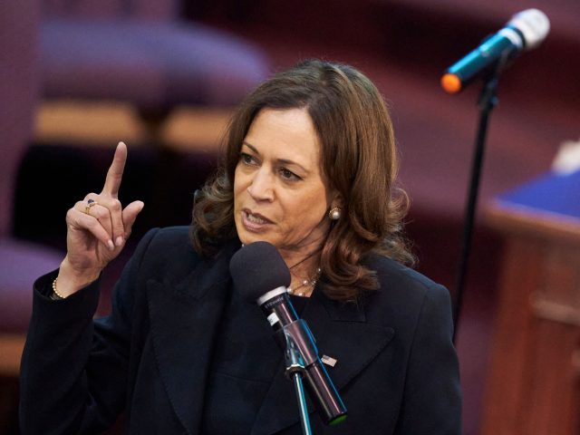 US Vice President Kamala Harris, with the Reverend Al Sharpton (R), speaks at the funeral