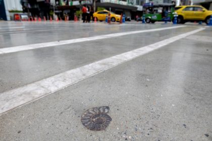 The fossils used as decoration in the footpath date back millions of years