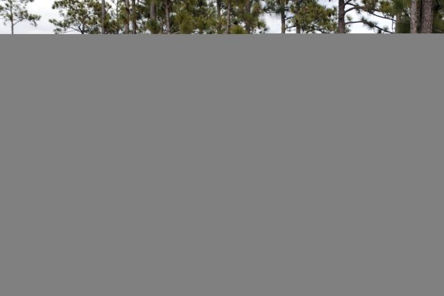 The Associated Press