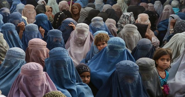 Reports: Taliban Stops Issuing Drivers Licenses for Women - Vimarsana News