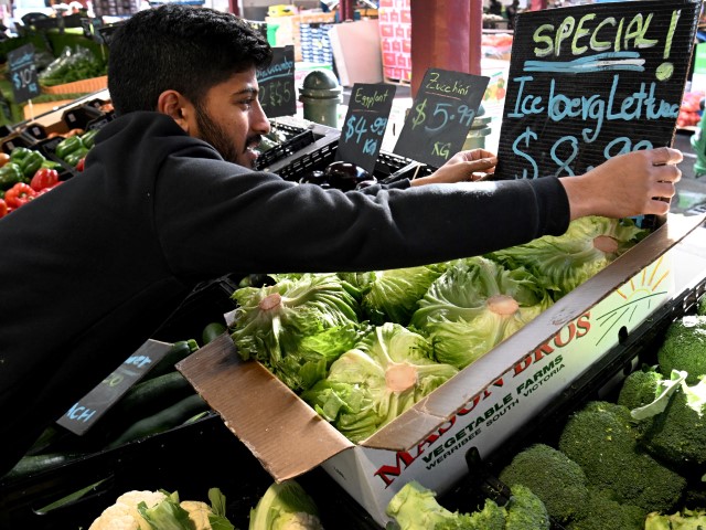 Syed Hyder from a stall at Melbourne's Queen Victoria Market adjusts a display of iceberg lettuce on June 7, 2022, with the local price soaring by as much as 300 percent in recent months. Fried chicken chain KFC said on June 7 that high lettuce prices in Australia have forced it to switch to a cabbage mix in burgers and other products, prompting customers to complain the result is less than "finger lickin' good". (WILLIAM WEST/AFP via Getty Images)