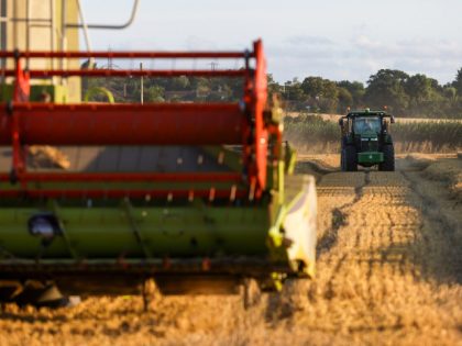 A tractor moves through a field of freshly cut wheat during a harvest in Benfleet, U.K., o