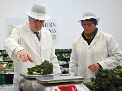 HAYLE, ENGLAND - JUNE 13: Britain's Prime Minister Boris Johnson is shown how to prepare broccoli for packing during a visit to Southern England Farms Ltd, ahead of the publication of the UK government's food strategy white paper, on June 13, 2022 in Hayle, England. (Photo by Justin Tallis-WPA Pool/Getty …