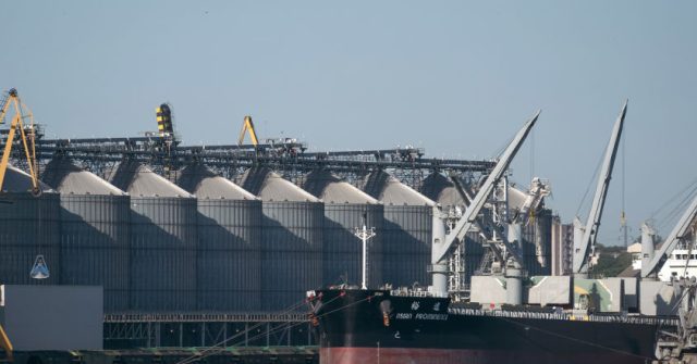 Romania’s Ukraine grain export route grapples with volume changes