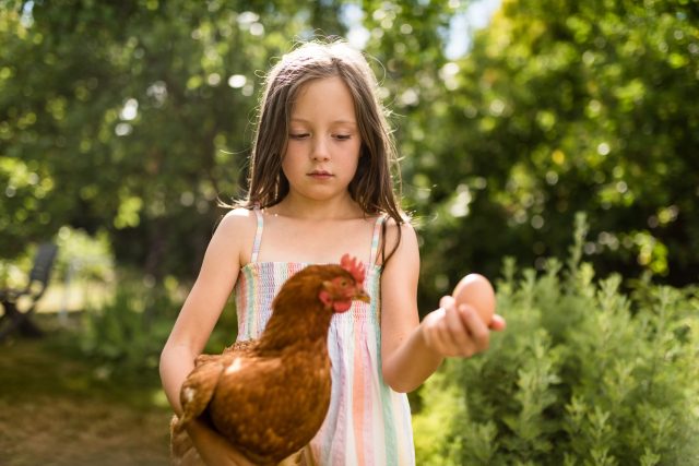 Girl holding chicken and egg