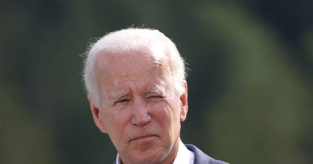 Exclusive — Rep. Troy Nehls: The Country Can See Biden Is ‘Unfit to Serve’; ‘He’s Not All There’