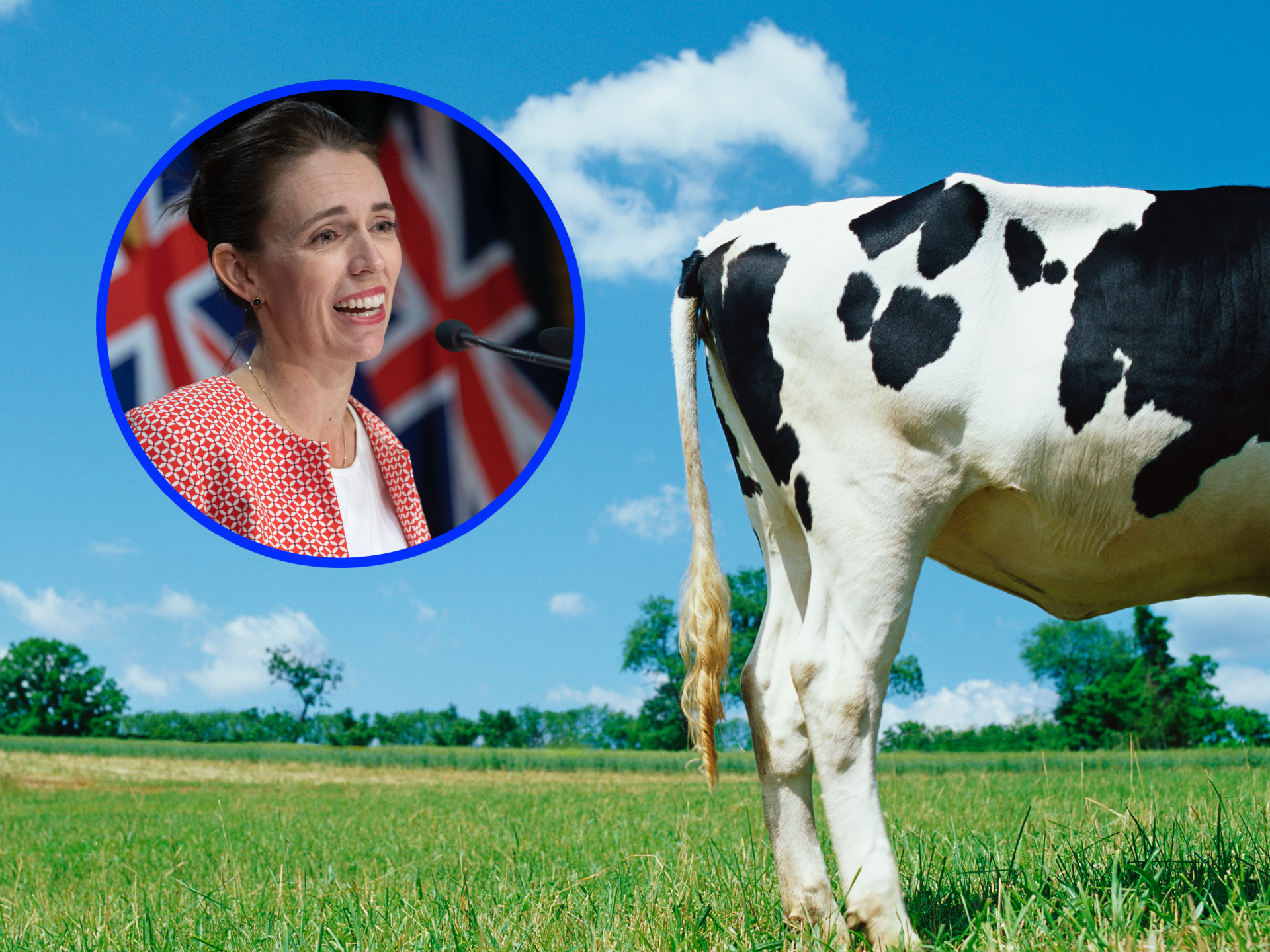 Cow Farts and Burps to Be Taxed for Climate Change - Vimarsana News