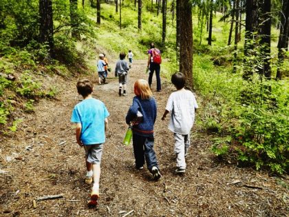 Group of young kids walking on trail in the woods with camp counselor at summer camp