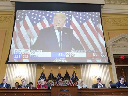 January 6 Committee Hearings (Susan Walsh / Associated Press)