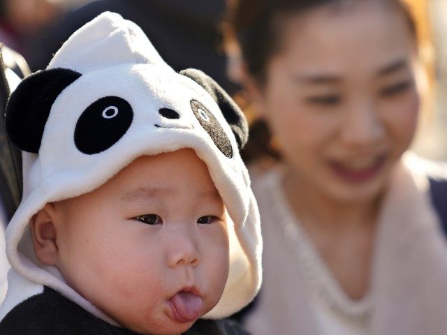 Miu Suwazono, a 6-month-old girl, wearing clothes featuring a panda waits at Ueno Zoo to s