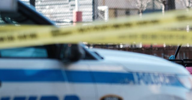 NYC Man Accused of Murdering Nephew Claims 'I Chopped Him Up' - Vimarsana News