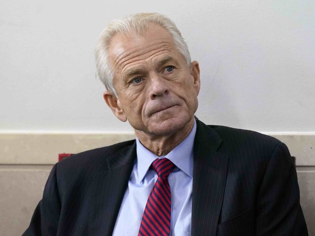 Peter Navarro (Patrick Semansky / Associated Press)