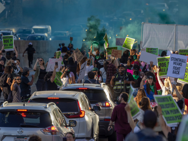 LOS ANGELES, CA - JUNE 24: Green smoke rises as protesters march northbound on the 110 Fre