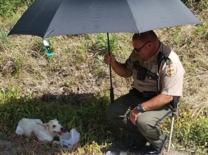 Trooper rescues dog