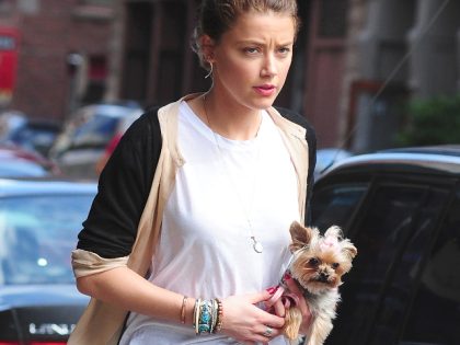 NEW YORK, NY - AUGUST 27: Amber Heard is seen in Tribeca on August 27, 2012 in New York City. (Photo by Alo Ceballos/FilmMagic)
