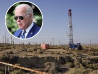 Biden: Releasing More Oil Reserves 'Not Politically Motivated at All!'
