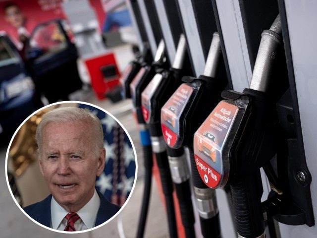 Joe Biden: Drivers Must Pay More for Gas ‘As Long as It Takes’ to Stop Vladimir Putin