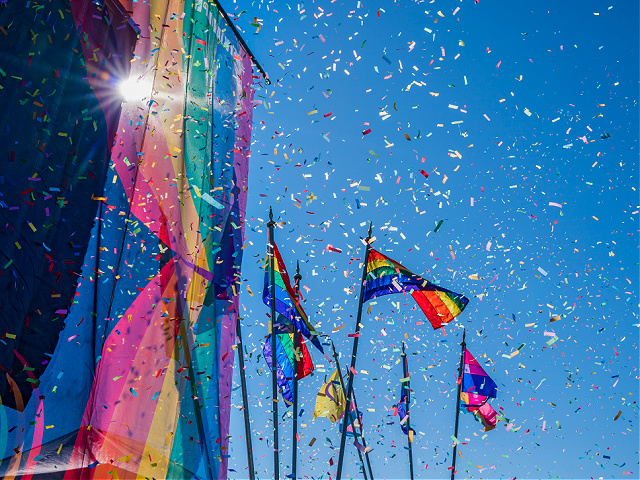 Google Search for 'Pride' Triggers Rainbow Confetti, Rainbow People - Vimarsana News