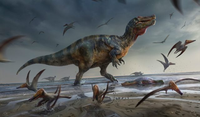 An artist's depiction of the massive White Rock spinosaurid, which was discovered on the U