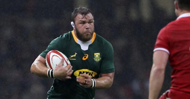 Springboks Recall Vermeulen, Steyn For New Zealand Tests - Breitbart