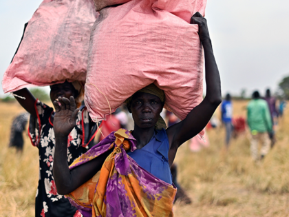 Villagers collect food aid dropped from a plane in gunny bags from a plane onto a drop zone at a village in Ayod county, South Sudan, where World Food Programme (WFP) have just carried out an food drop of grain and supplementary aid on February 6, 2020. - The villagers …