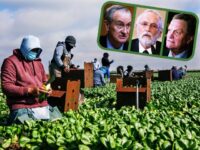 Republicans Negotiate with Democrats on Illegal Alien Farmworker Amnesty