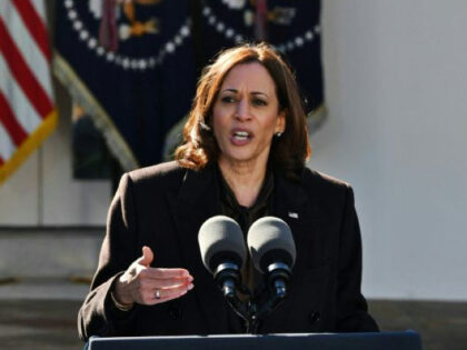 US Vice President Kamala Harris speaks as US President Joe Biden listens after a signing t