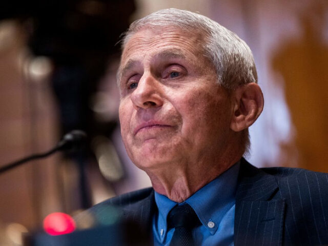 Director of the National Institute of Allergy and Infectious Diseases Dr. Anthony Fauci testifies during a Senate Appropriations Subcommittee on Labor, Health and Human Services, Education, and Related Agencies hearing to examine the proposed budget for fiscal year 2023 for the National Institutes of Health, on Capitol Hill in Washington, …