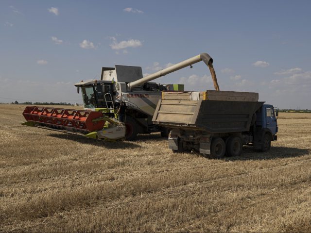 ODESSA, UKRAINE - JULY 04: A farm implement harvests grain in the field, as Russian-Ukrain