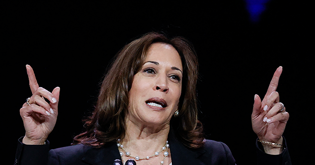 Kamala Harris Named 'AI Czar' to Save Us from Artificial Intelligence