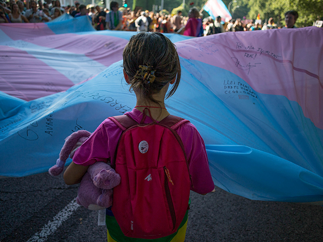 A girl holds the Transgender Pride flag during the pride march held in one of the most important streets of Madrid. Thousands of people participated in the Madrid pride parade. After two years the march returned to normal with its floats that have characterised it years ago. (Photo by Luis …