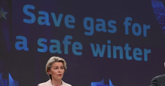 EU Wants to Force Member States Cut Gas Usage by 15 Per Cent - Vimarsana News