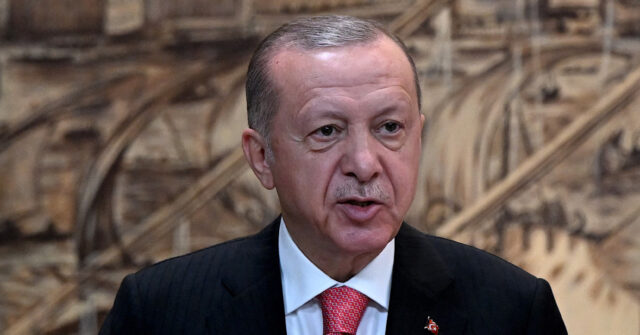 Turkey seeks Finnish help to prosecute a citizen who insulted Erdogan