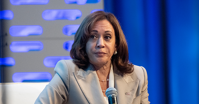 Kamala Harris Frets: 'Women Are Getting Pregnant Every Day in America, and This Is a Real Issue'
